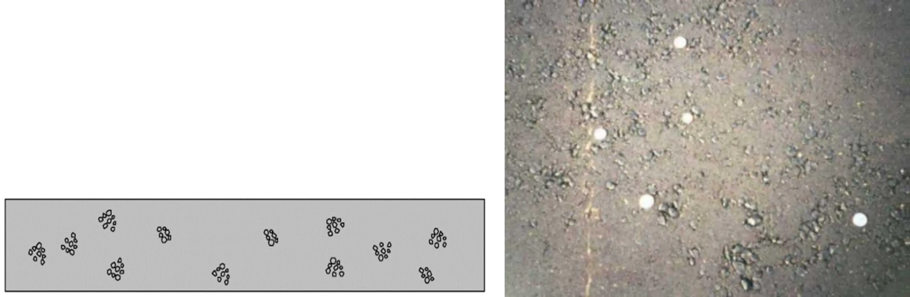 Figure 157. Random Segregation